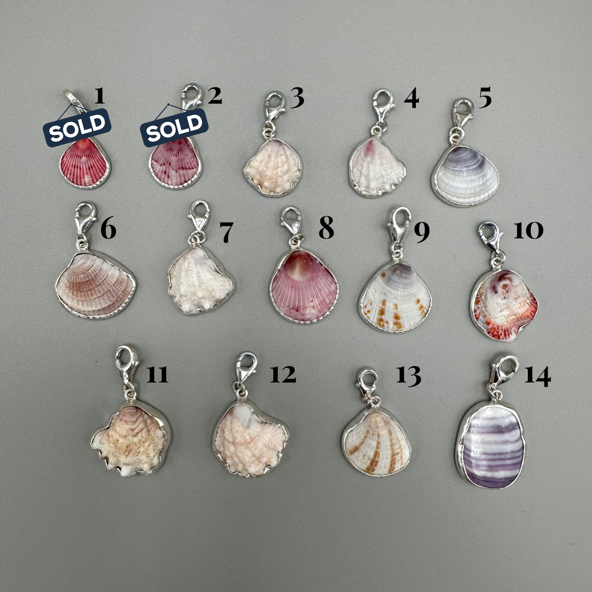 Sterling silver-wrapped natural shell charms from southwest Florida, 0.5–0.75 inches, perfect for bracelets or anklets.