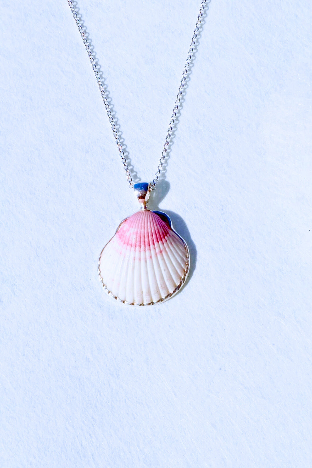 Sterling silver–wrapped sea shell pendant from Casey Key, Florida, displayed on an 18-inch sterling silver chain.