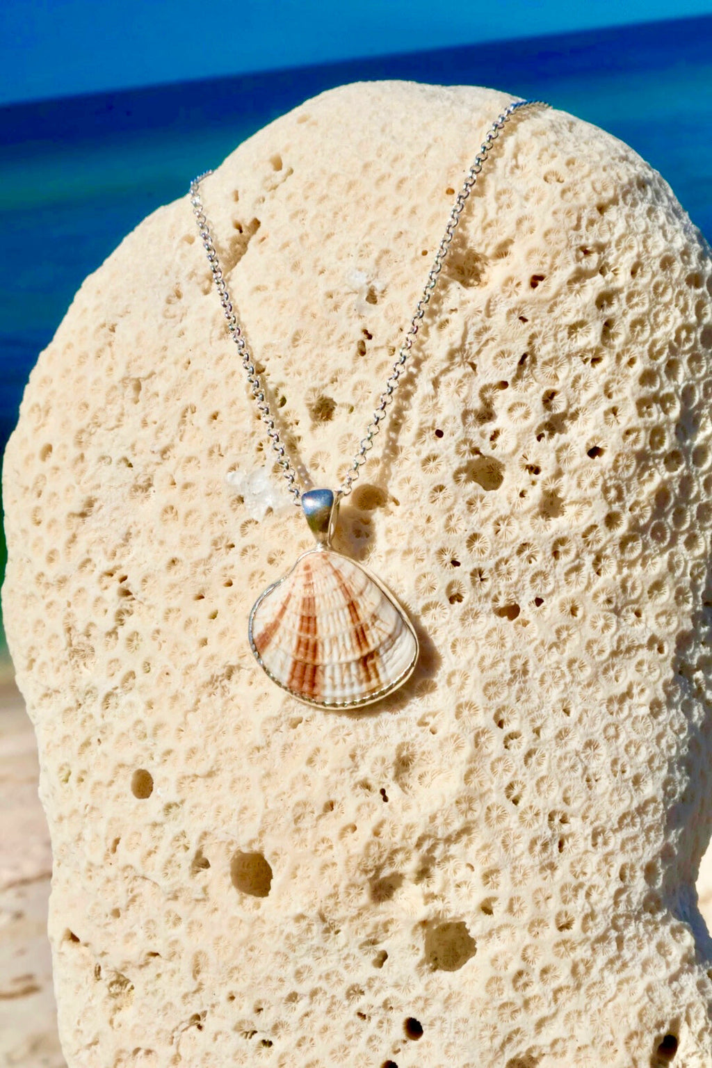 Sterling silver–wrapped sea shell pendant from Casey Key, Florida, displayed on an 18-inch sterling silver chain.