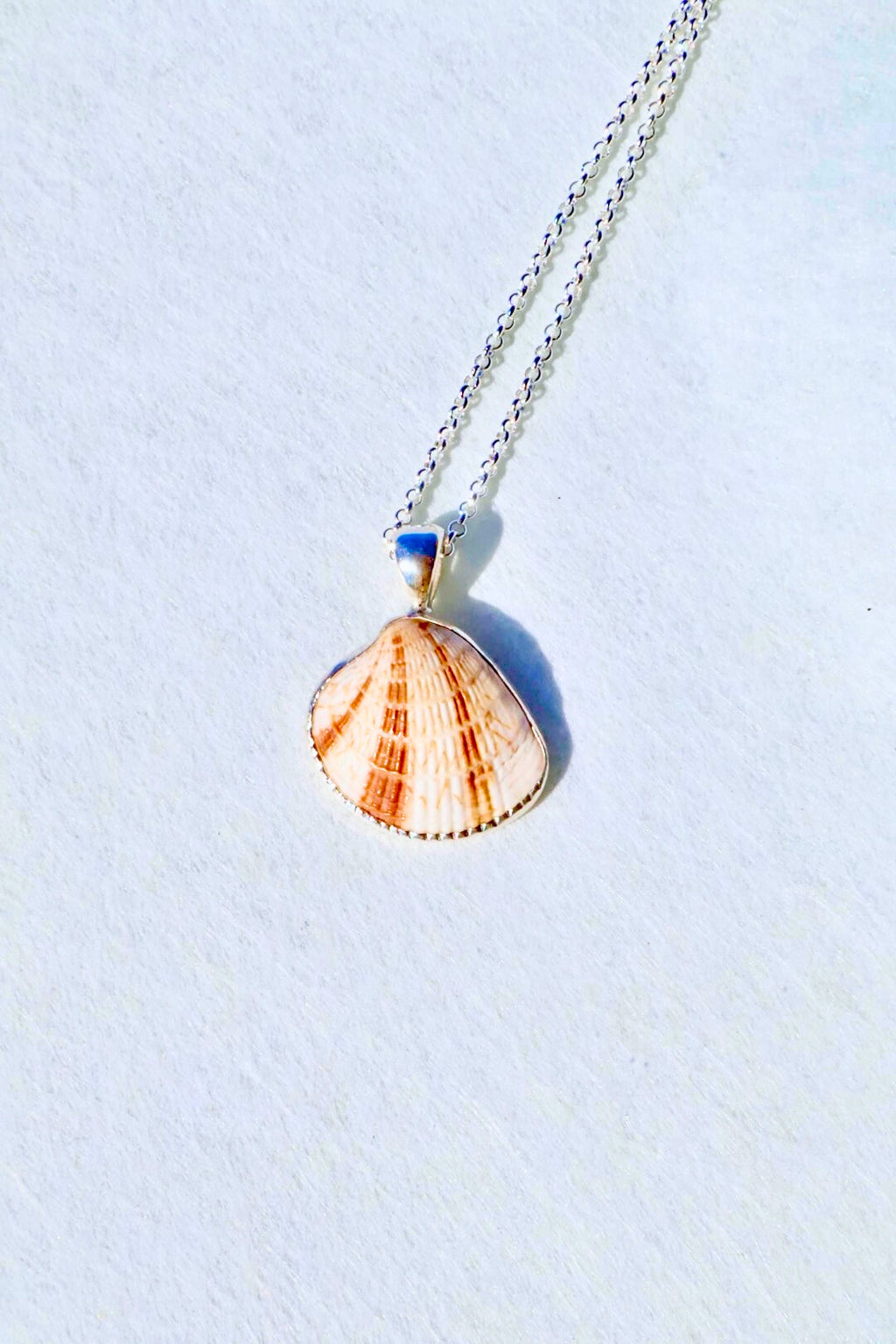 Sterling silver–wrapped sea shell pendant from Casey Key, Florida, displayed on an 18-inch sterling silver chain.