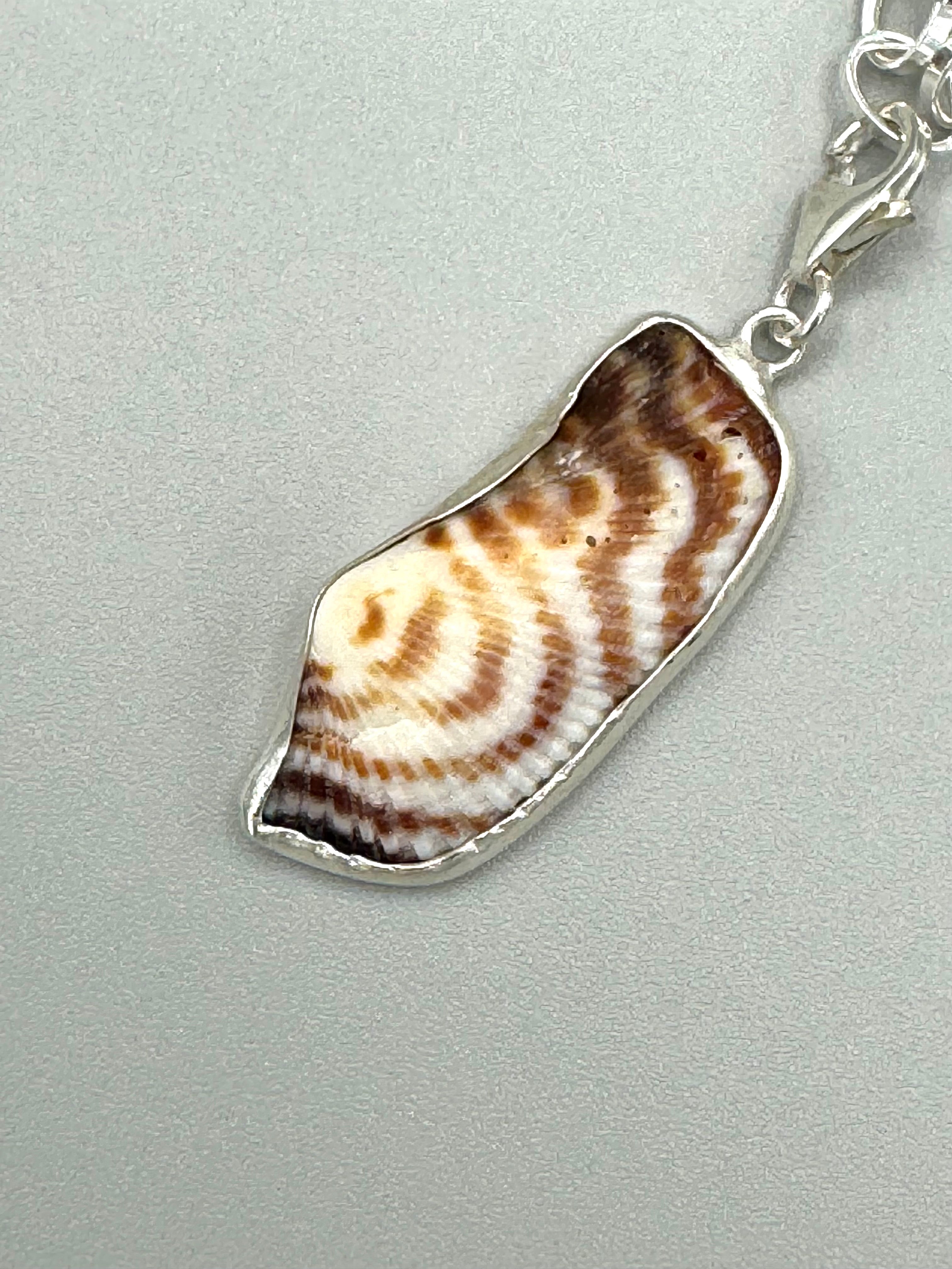 Sterling silver charm bracelet featuring seafoam green sea glass, fossilized shark tooth, and turkey wing shell.