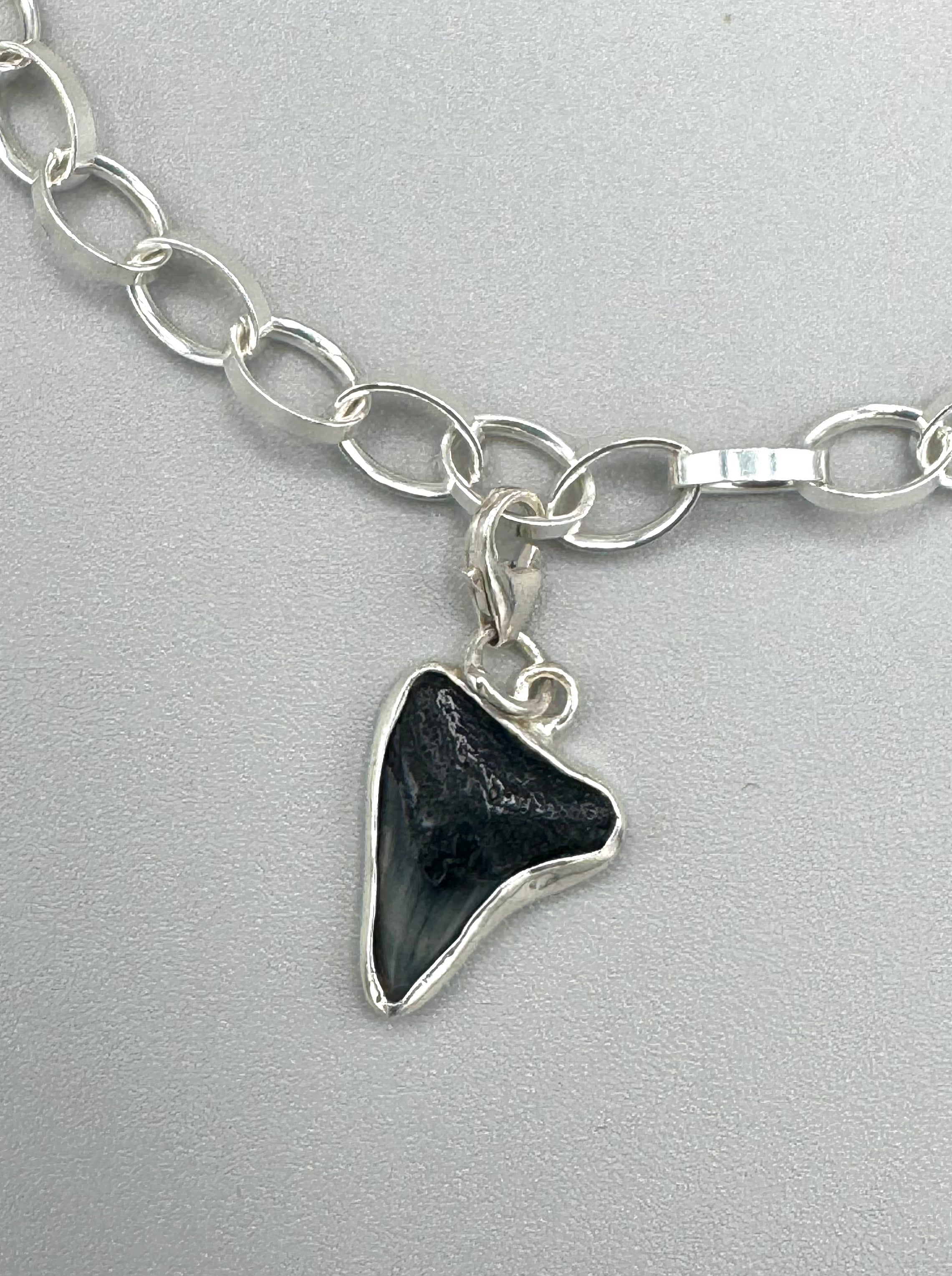 Sterling silver charm bracelet featuring a shark eye shell, fossilized shark tooth, and turquoise Mediterranean sea glass — handcrafted ocean-inspired jewelry.”